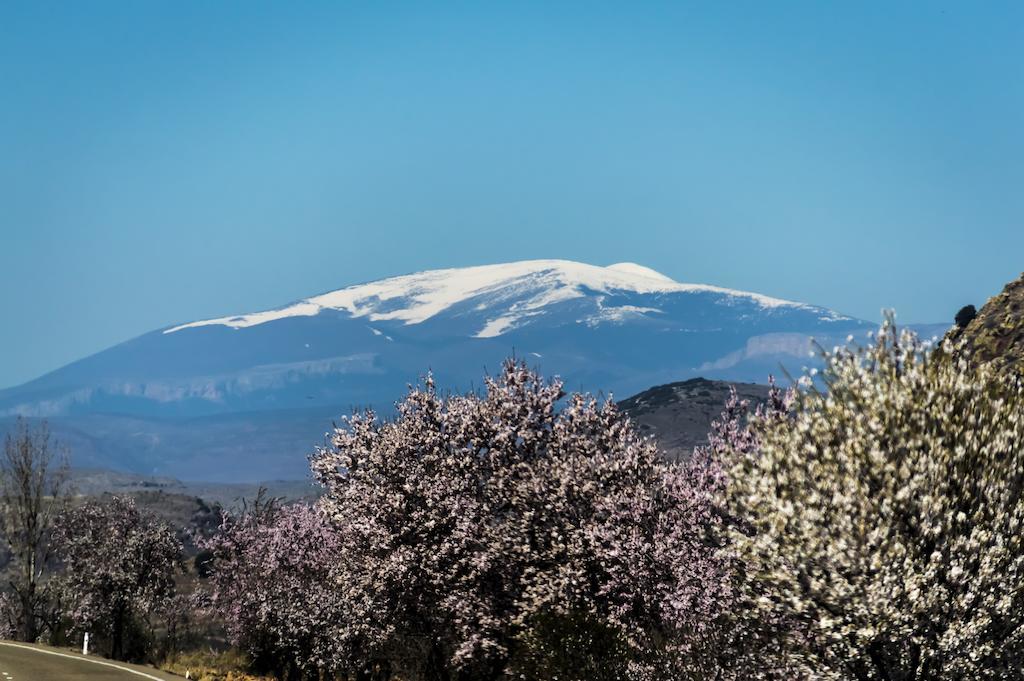 Casa Rural Los Lilos Gotor Номер фото